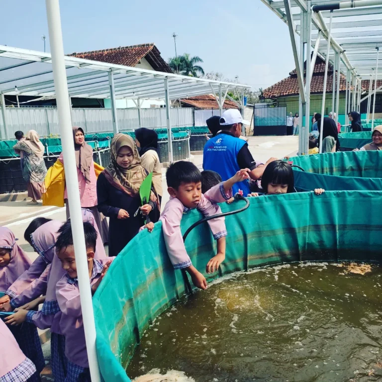 outing class kelompok bermain kb miftahul hasanah ke bumdes artha cipta pakutandang kolam perikanan